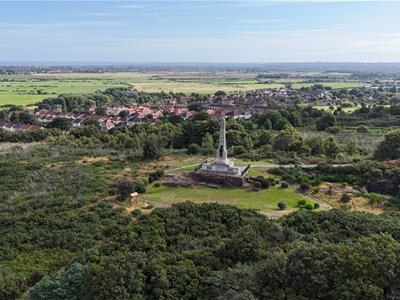 Picture 29